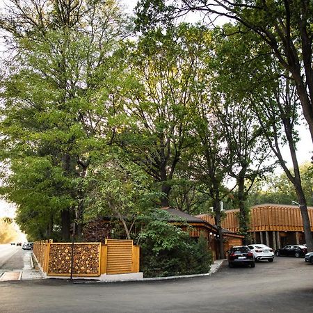Forest M,Constanta Valu lui Traian Экстерьер фото