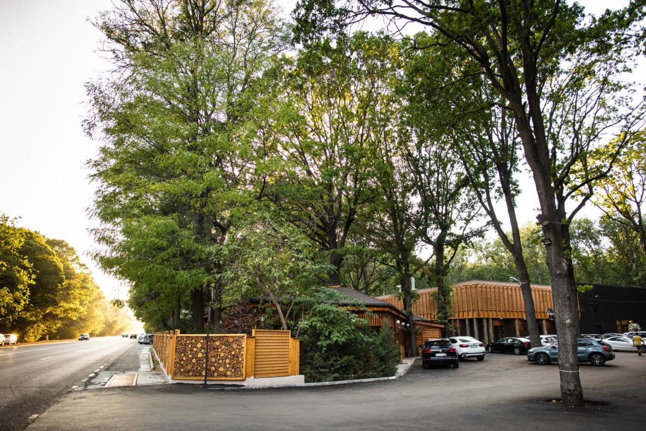 Forest M,Constanta Valu lui Traian Экстерьер фото