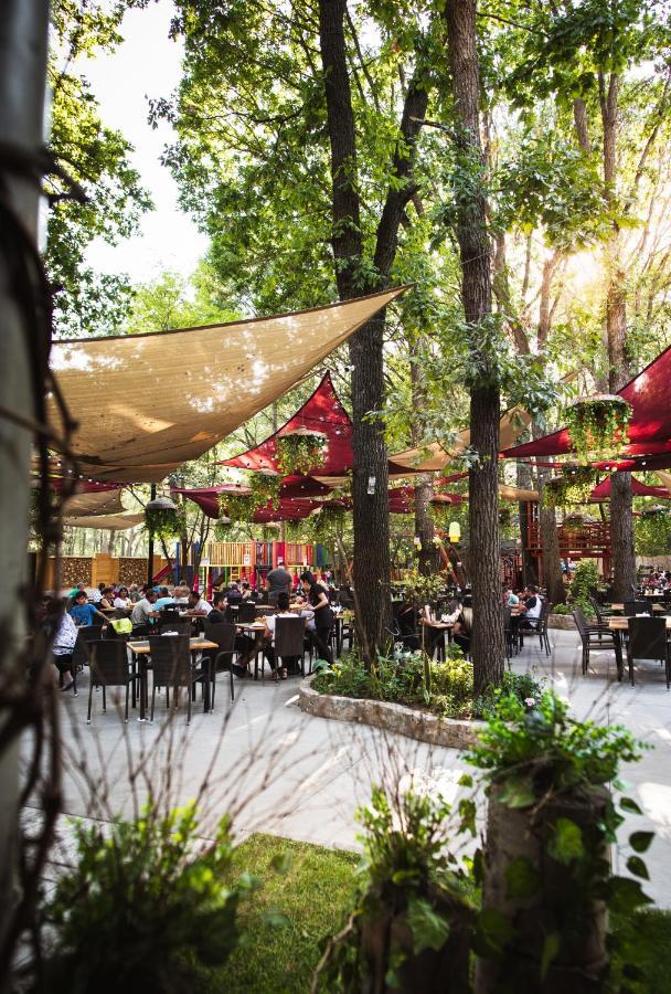 Forest M,Constanta Valu lui Traian Экстерьер фото